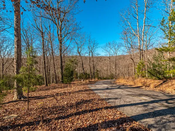 182A Chickadee Rd, Morganton, GA 30560