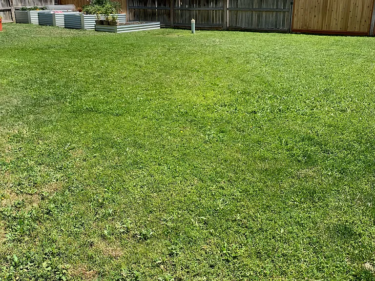 11669 Edgemoor St — Photo 3