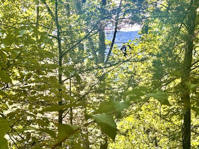 (Undisclosed Address), Franklin, NC, 28734
