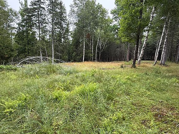 3rd image of 1236 Meadow Pond Road
