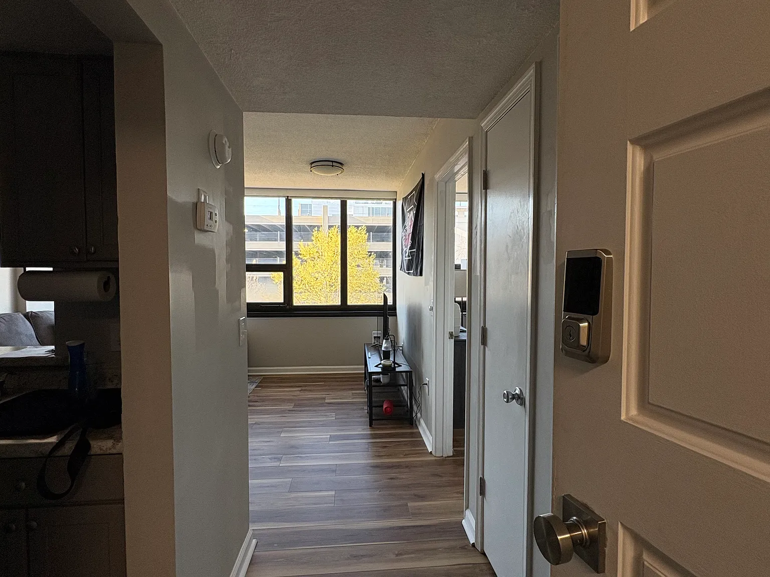 1 bed, 580 sqft, $1,700 — Photo 4