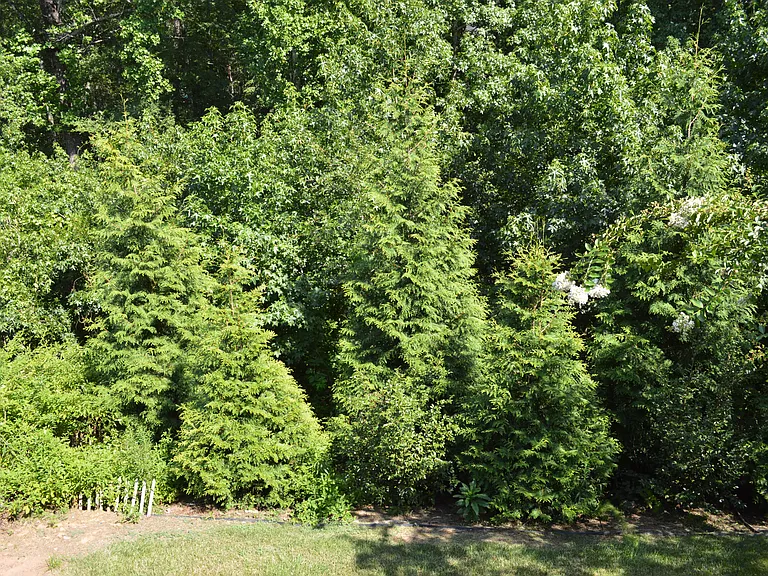 Outside view from Basement