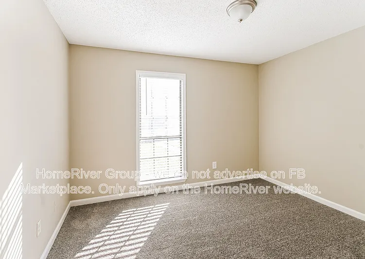 5067 Cherry Bark Cv — Photo 12