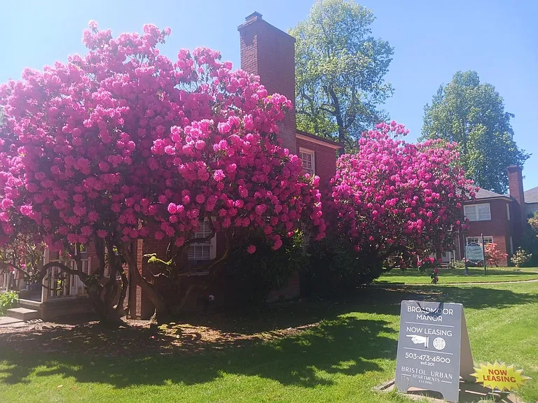 Broadmoor Manor — Photo 15