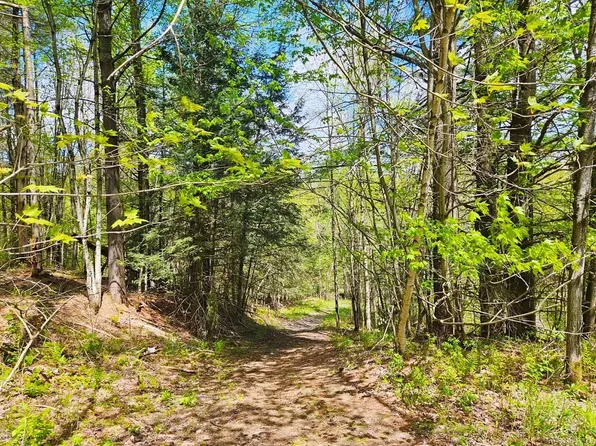 Lot 4 Berry Road, Berkshire, VT 05450