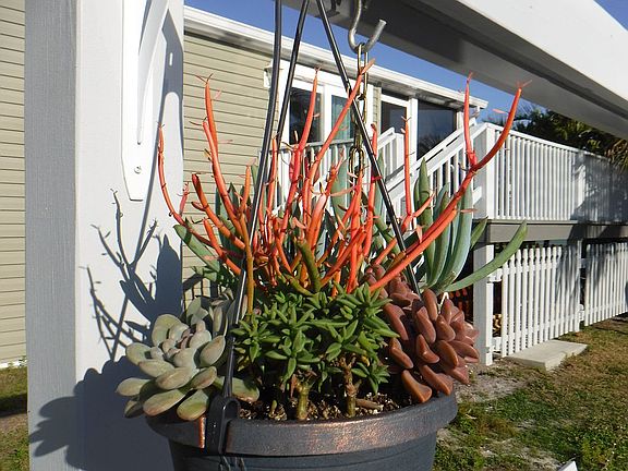 Nothing's gone to pot