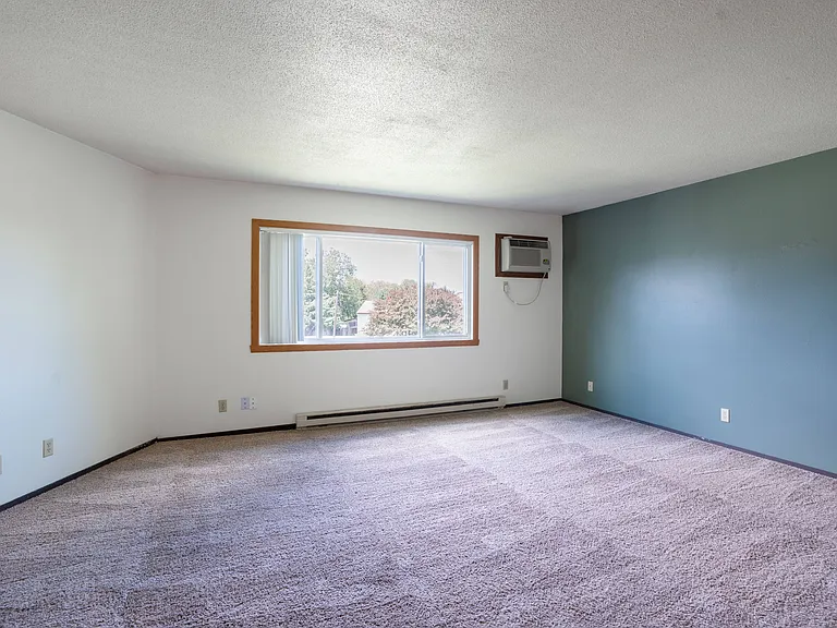 Summerfield — Photo 18