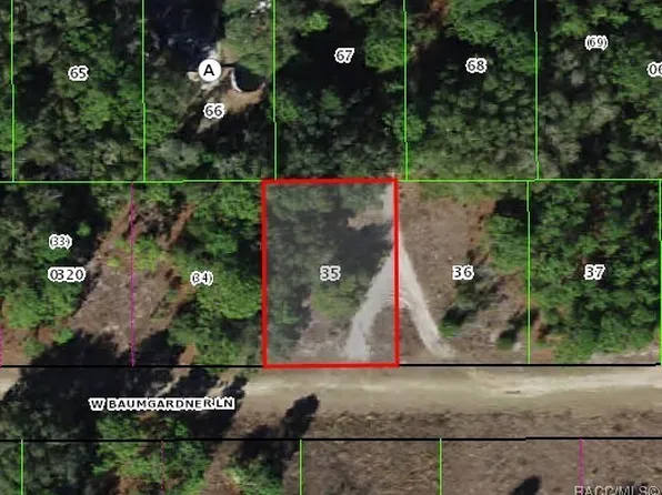 8155 W Baumgardner Ln, Crystal River, FL 34428