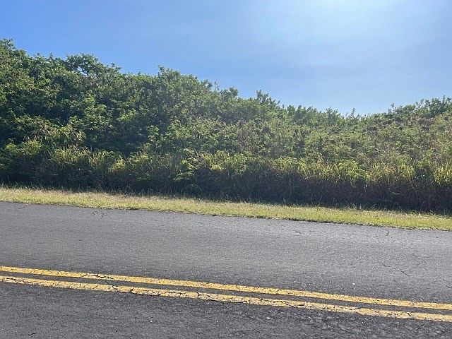 2nd image of Wakea Ave