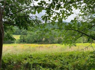 Jump Brook Rd, Roxbury, NY 12474