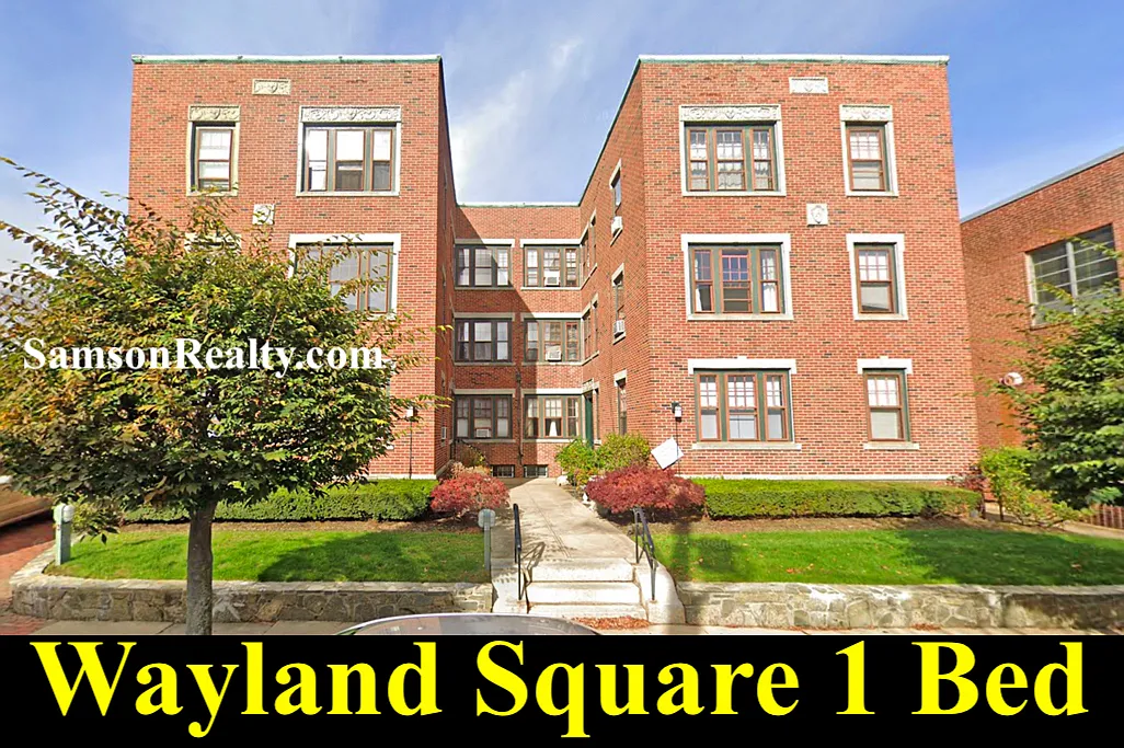 Building Photo - 96 Medway St #11