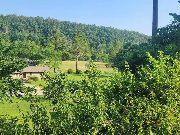 172 Rivercliff Dr, Bull Shoals, AR 72619