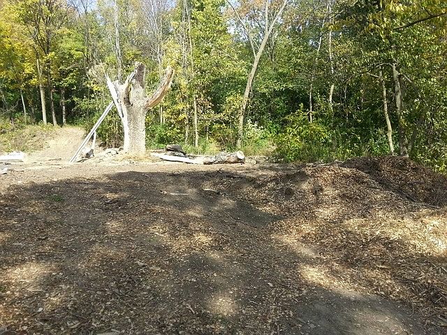 2nd image of 1800 Poplar St