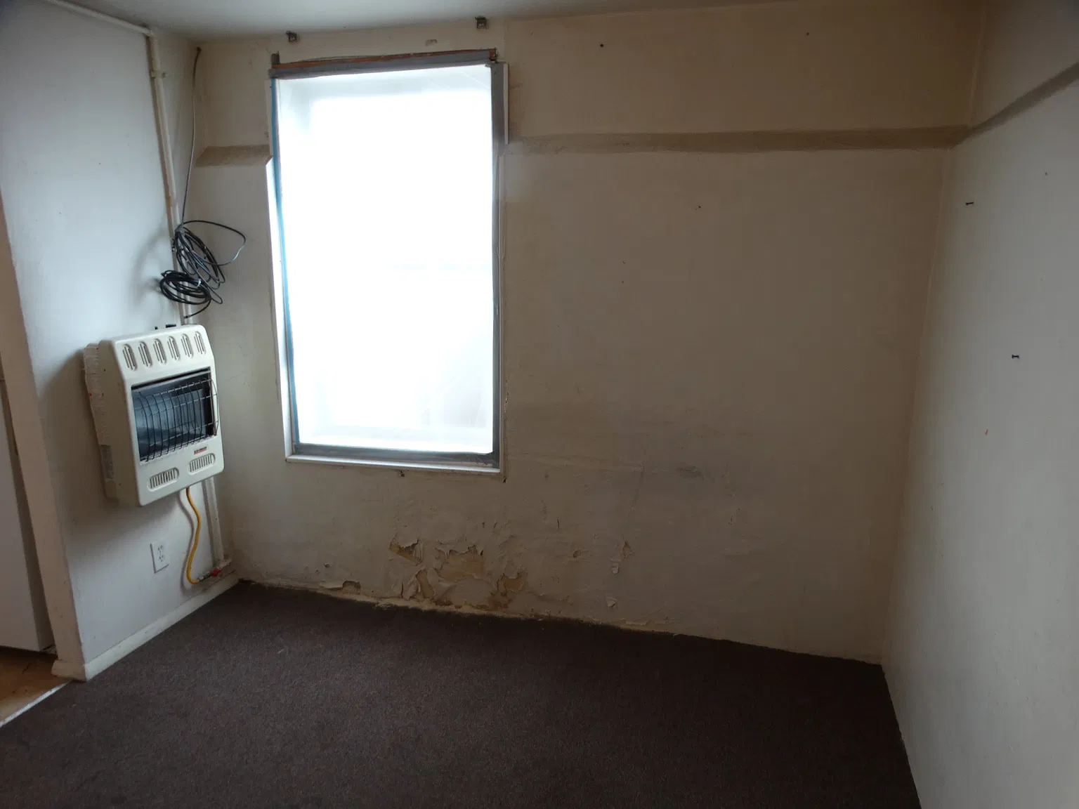1 bed, $800 — Photo 2