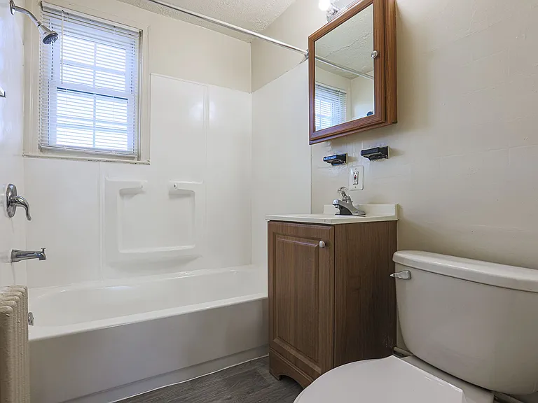 Bathroom-Partial Reno