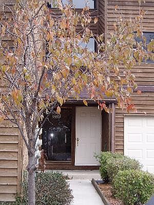 1st image of 9551 S Arrowhead Dr #2F