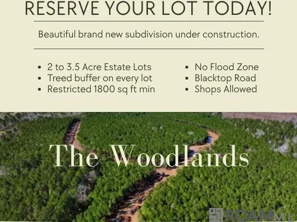 39 Copper Pass, Livingston, LA 70754