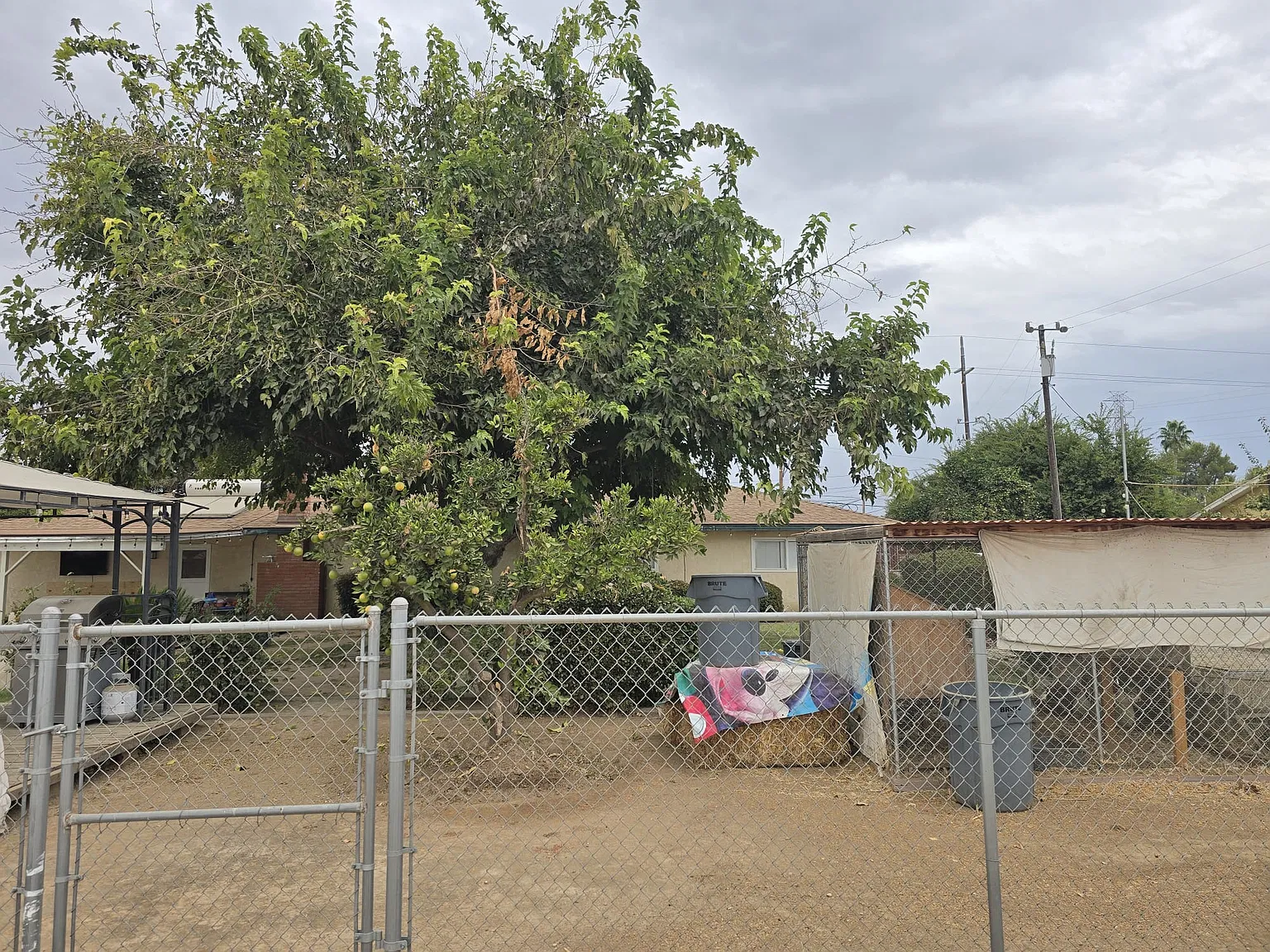 3 bed, 1365 sqft, $2,500 — Photo 4
