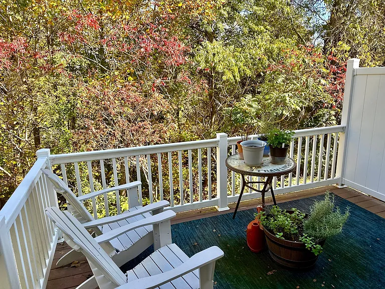 private back deck to bird watch