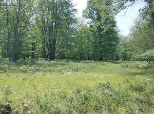 N Cut Rd, Roscommon, MI 48653