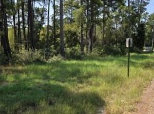 10978 Oak Forest Dr, Plantersville, TX 77363