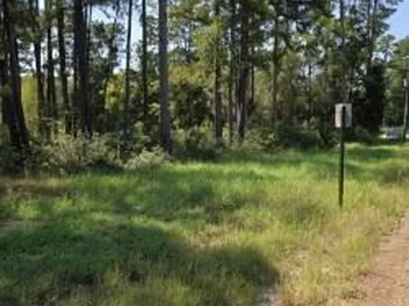 10978 Oak Forest Dr, Plantersville, TX 77363