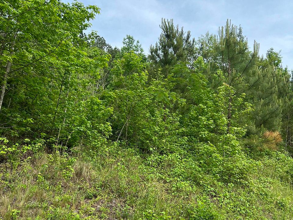 2nd image of LOT 2 State Highway 39 Hwy S #2