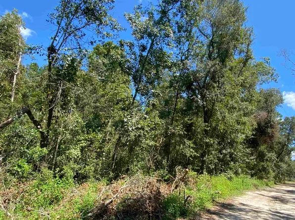 Vacant Ne Withlacoochee Shores Ln, Lee, FL 32059