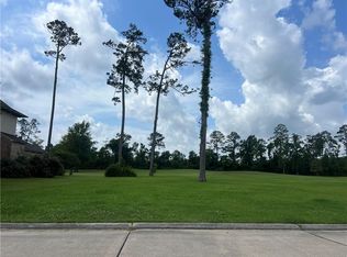 24215 Snowy Egret Cv, Springfield, LA 70462