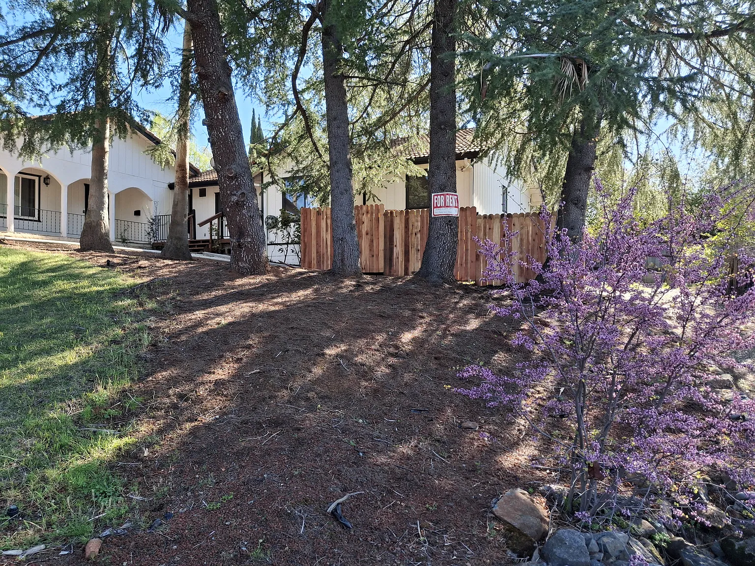 3 bed, 1923 sqft, $3,000 — Photo 2
