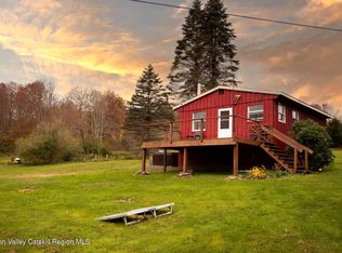 887 Lower Dingle Hill Rd, Andes, NY 13731