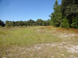 1220 Buckles Rd, Pierson, FL 32180