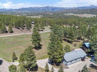 40 Peregrine Pl, Pagosa Springs, CO 81147