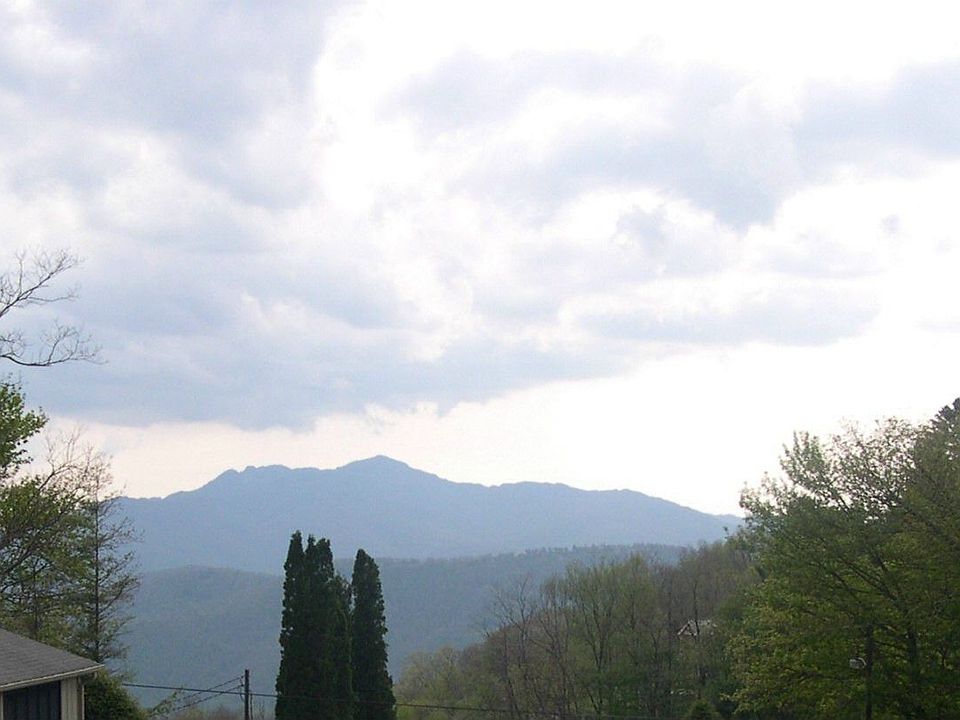 View from back porch