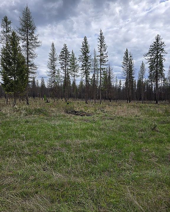 1st image of LOT E Oregon Rd