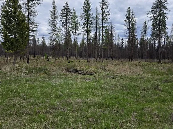 LOT E Oregon Rd, Elk, WA 99009