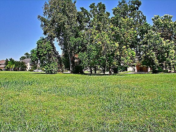 Nice mature trees.