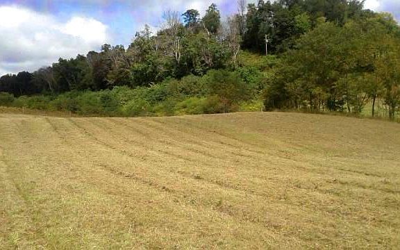 5th image of 36372 Township Road 50