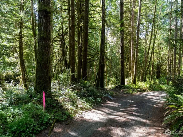 1781 E Sunset Hill Road, Shelton, WA 98584