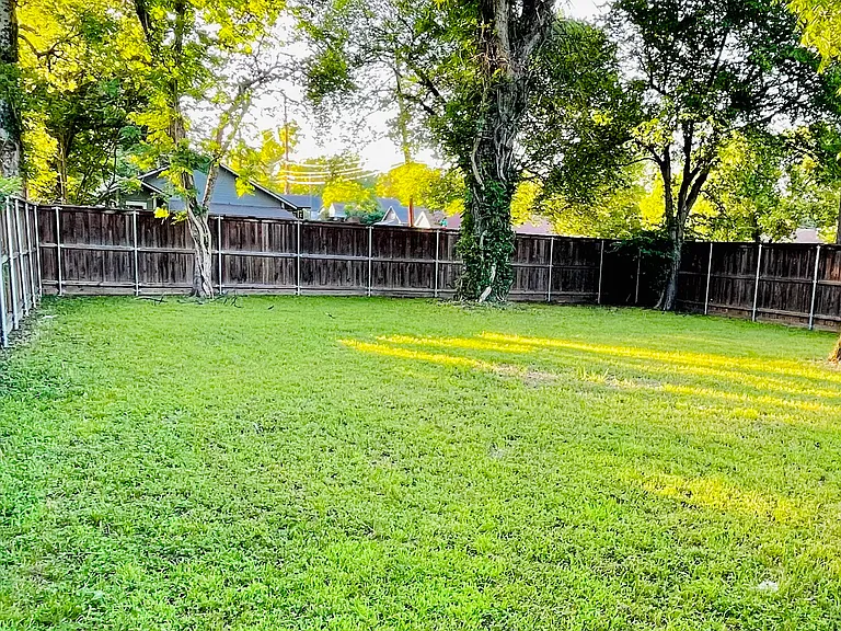 Backyard