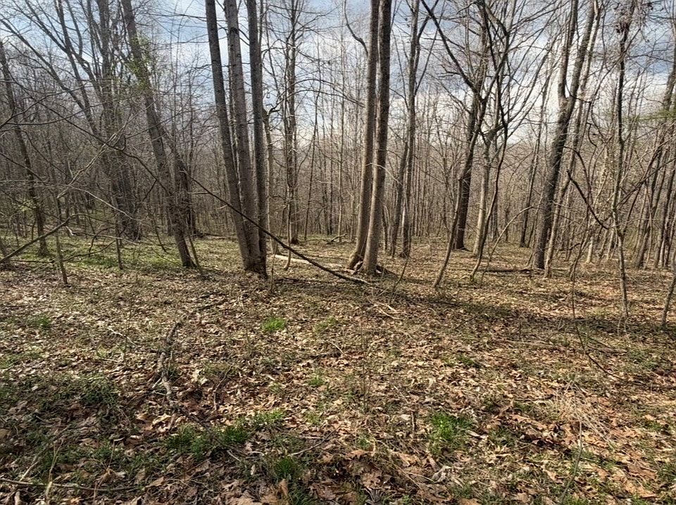 1st image of 0 Wayne Ln