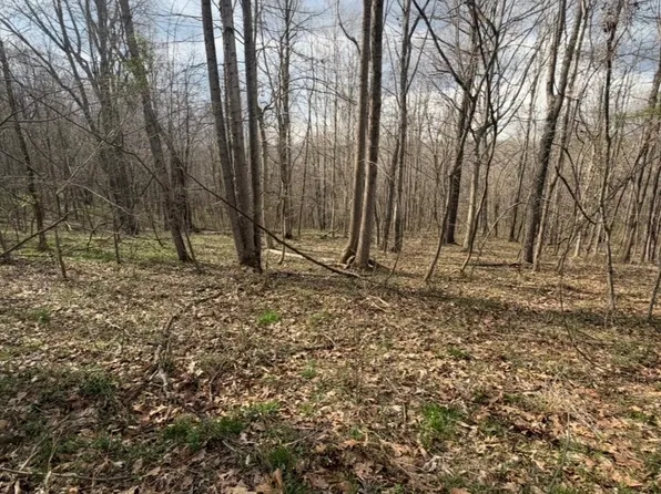 0 Wayne Ln, Thurman, OH 45685