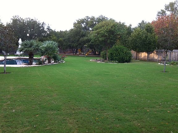 Back Yard 2