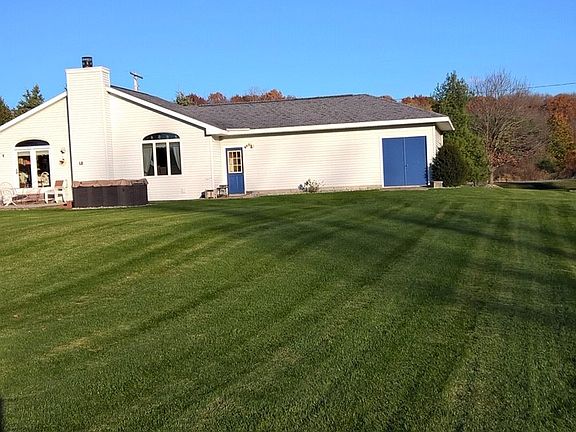 Back yard in the summer time