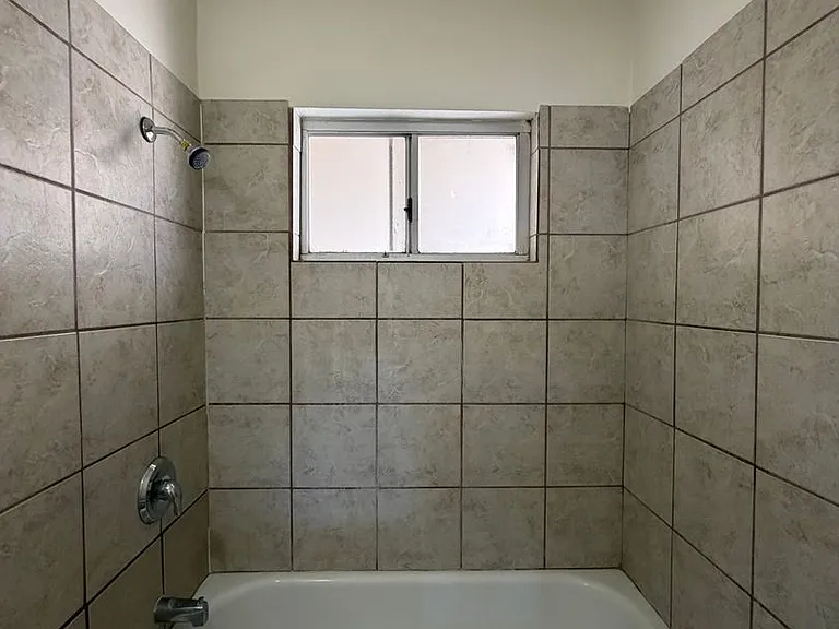 P170 — Photo 19