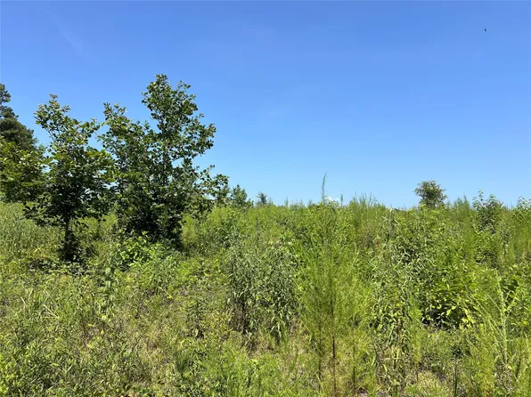 14 Upper Leggett Rd, Leggett, TX 77350