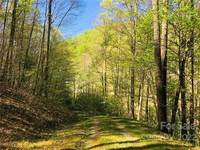 60 Trillium Ln, Mars Hill, NC, 28754
