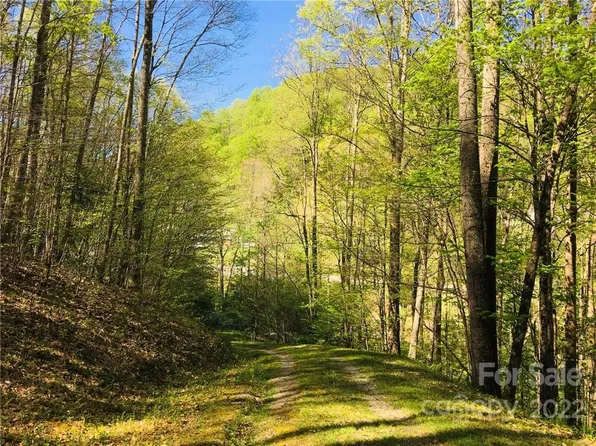 60 Trillium Ln, Mars Hill, NC 28754