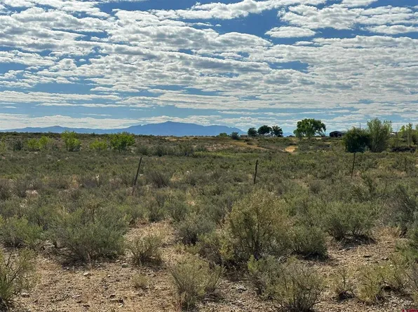 TBD 5925 Trail, Montrose, CO 81403