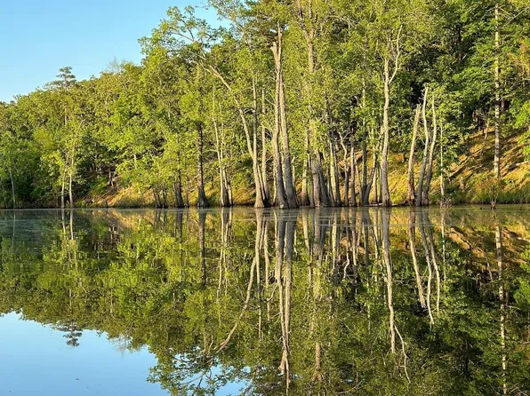 4 Devoe Bend Dr, Maumelle, AR 72113